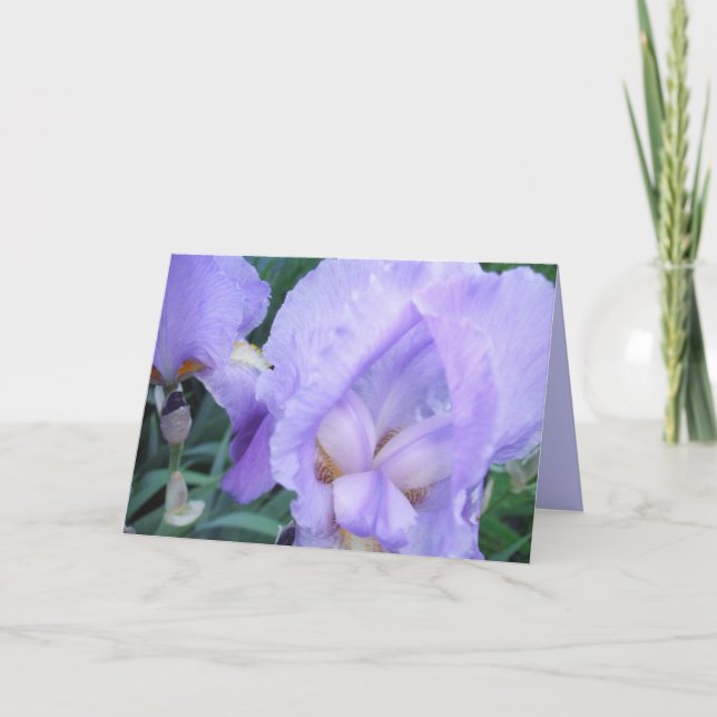 Blume - Iris Karte (Vorderseite)