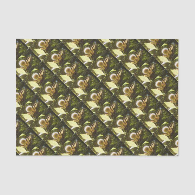 Blume Juni Monarch Seidenpapier (Vorderseite)