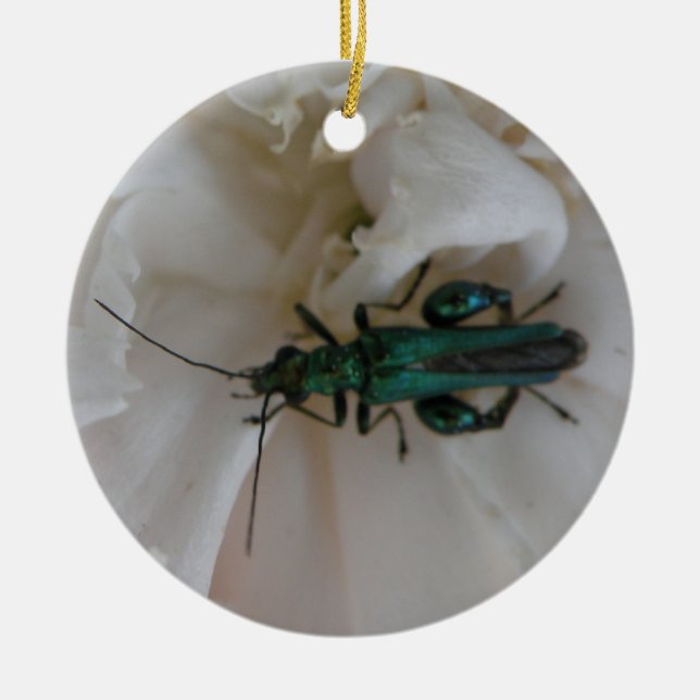 Blume Käfer Custom Geburtstag Keramikornament (Vorne)