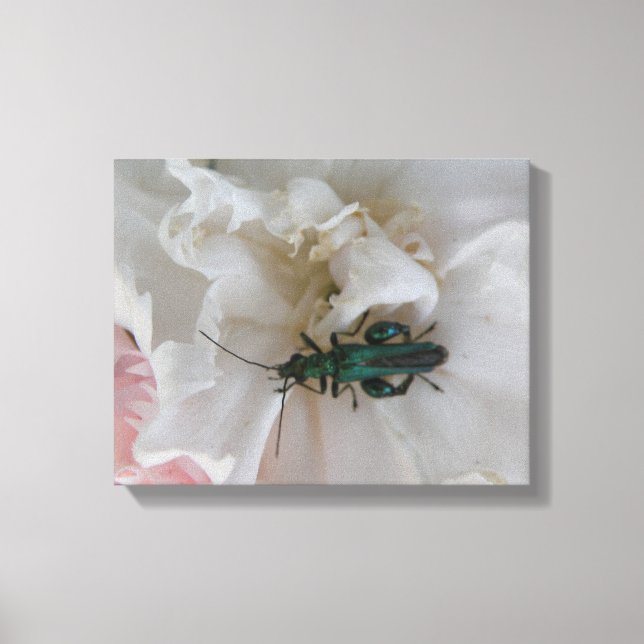 Blume Käfer Leinwand (Vorderseite)