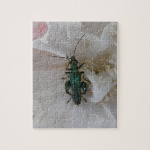 Blume Käfer-Puzzle