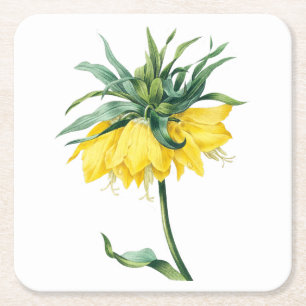 Blume: Kaiserkrone A002 - Rechteckiger Pappuntersetzer