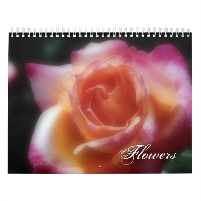 Blume Kalender (Titelbild)