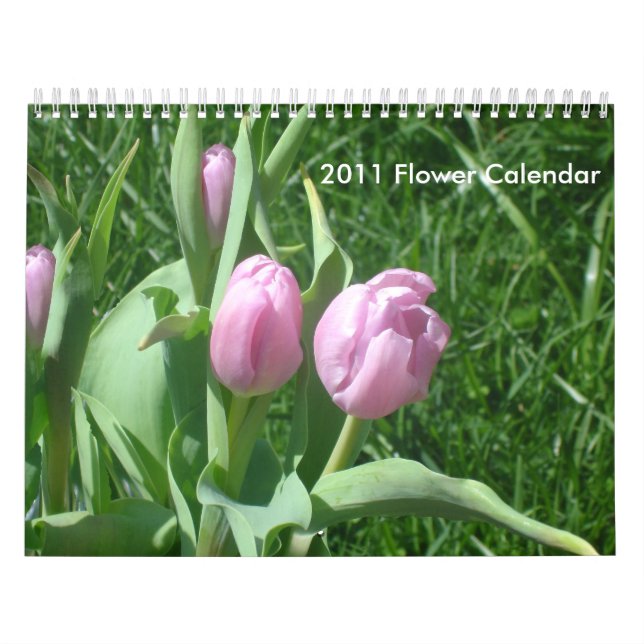 Blume-Kalender 2011 Kalender (Titelbild)