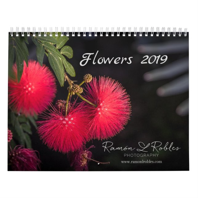 Blume-Kalender 2019 Kalender (Titelbild)