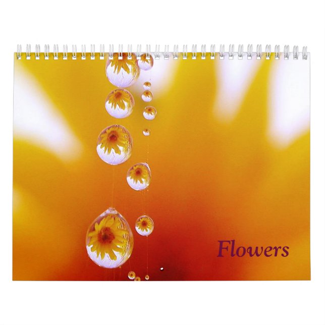 Blume-Kalender von Linda Murphy Kalender (Titelbild)