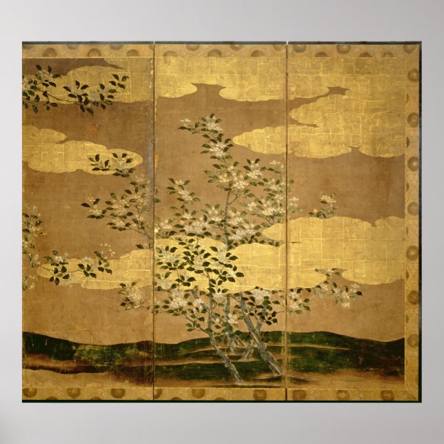 Blume Kamelien Poster (Vorne)