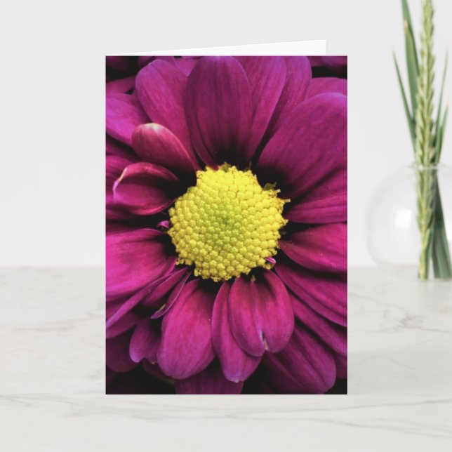 Blume, Karte (Vorderseite)