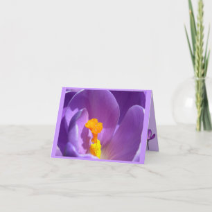 Blume Karten Crocus Blume Benutzerdefinierte Grußk