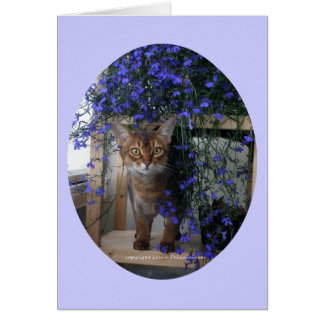 Blume Katze (oval)