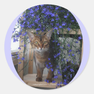 Blume Katze (oval) Runder Aufkleber