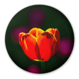 Blume Keramikknauf