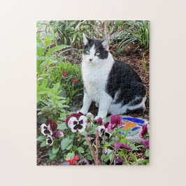 Blume Kind! Niedliche Katze im Garten