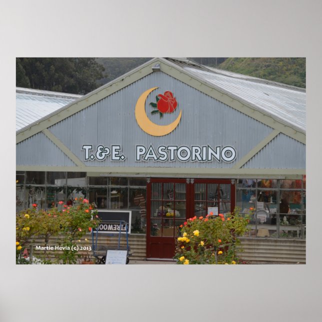 Blume Kinderzimmer Poster (Vorne)