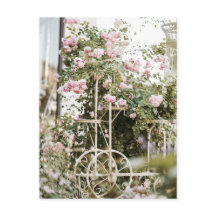 Blume Klettern Rose Postkarte