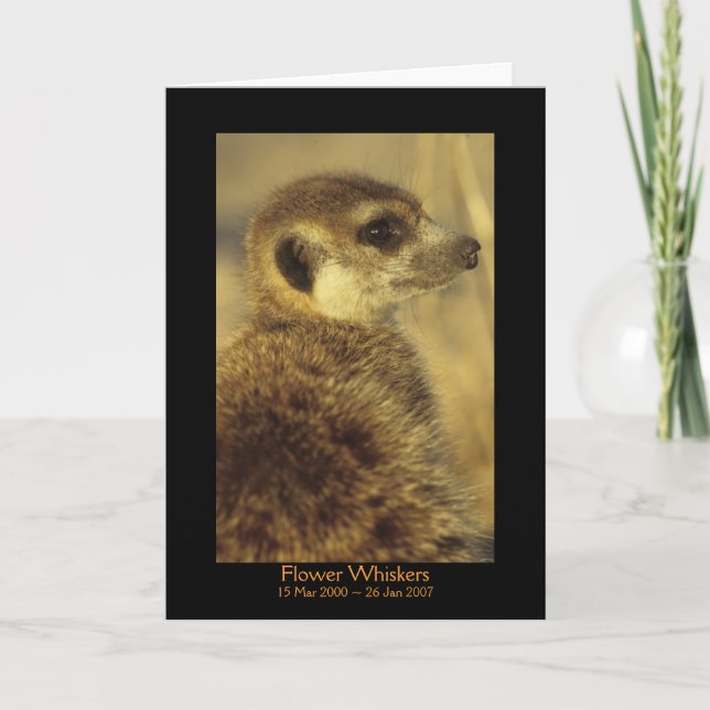 Blume - Legenden-Karte Karte (Vorderseite)