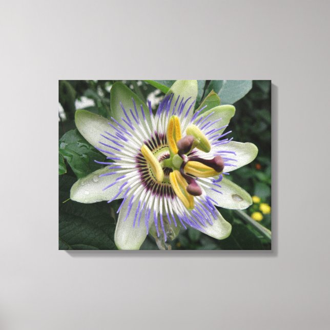 Blume Leinwand (Vorderseite)