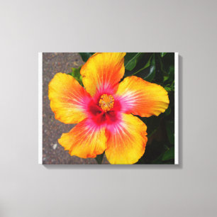 Blume Leinwand