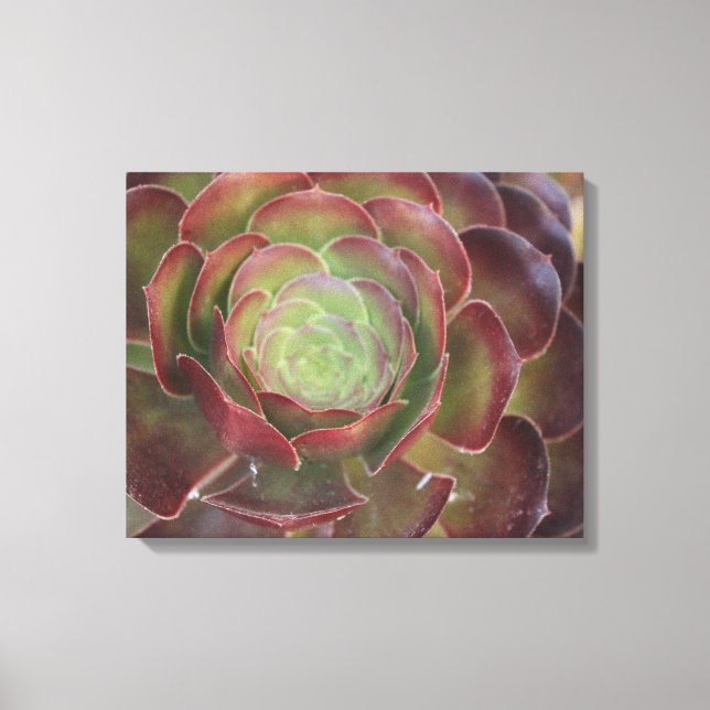 Blume Leinwanddruck (Vorderseite)