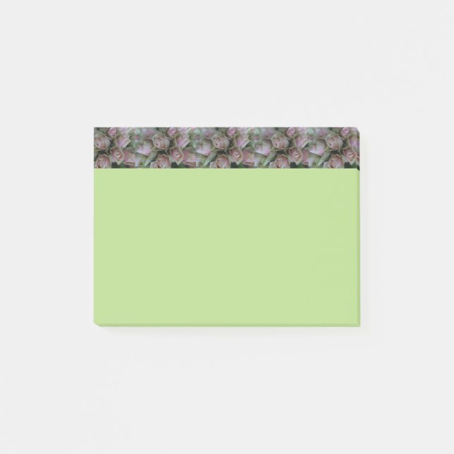 Blume Liebe Rosa Roses Frühlingsgrüne Post notiert Post-it Klebezettel (Vorderseite)