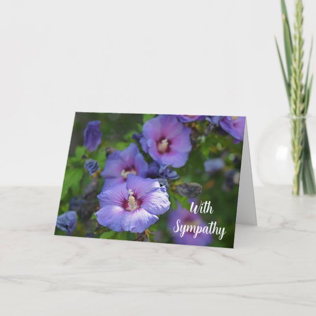 Blume lila Hibisken mit Beileid Karte (Vorderseite)