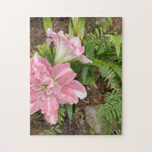 Blume lila Pflanze rosa Farnlilie mit Farn