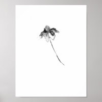 Blume Lithographie