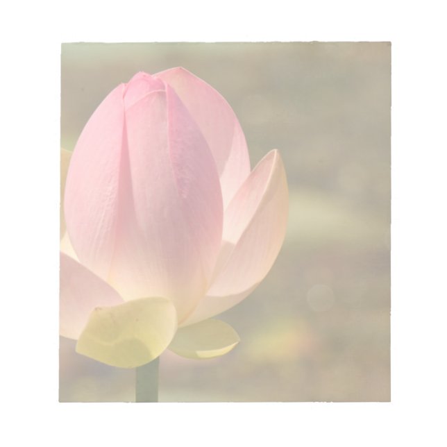 Blume Lotus Notepad Notizblock (Vorderseite)