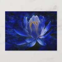 Blume Lotus und ihre Bedeutung