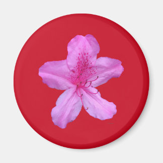 Blume Magnet