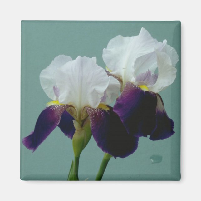 Blume Magnet (Vorne)