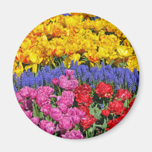 Blume Magnet