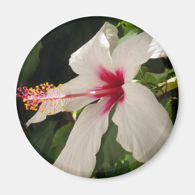 Blume Magnet (Vorne)