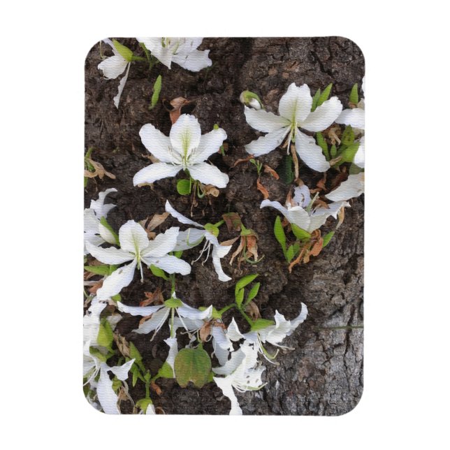 Blume Magnet (Vertikal)