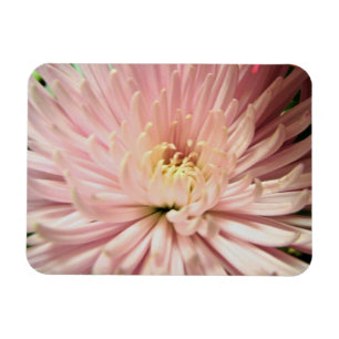 Blume Magnet
