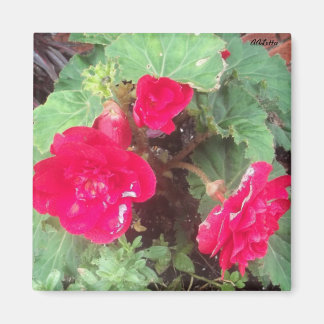 Blume Magnet