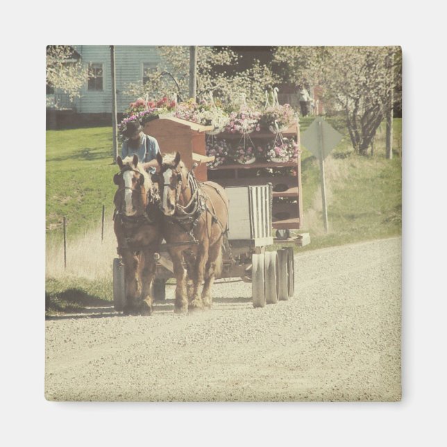 Blume Magnet (Vorne)