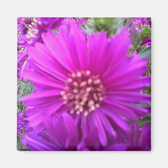 Blume-Magnet Magnet (Vorne)