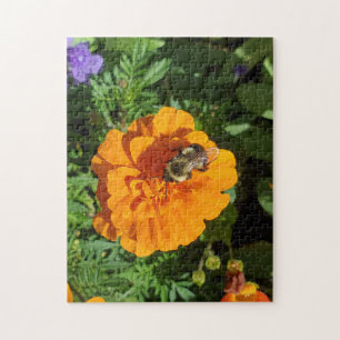 Blume mit Bienensommer