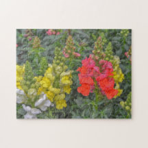 Blume mit Blumen Schnappdrachen Farbenfrohe Puzzle