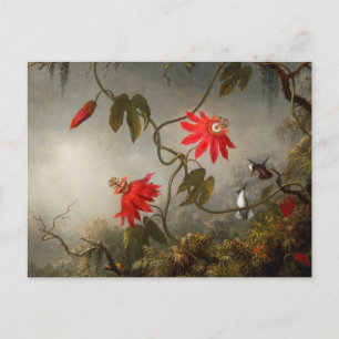 Blume mit Hummingbirds Heade Postkarte