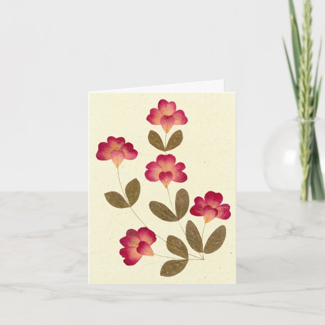 Blume mit leuchtend rosa Tube Karte (Vorderseite)
