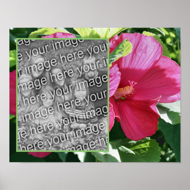 Blume mit rotem Hibisken Foto hinzufügen Poster (Vorne)
