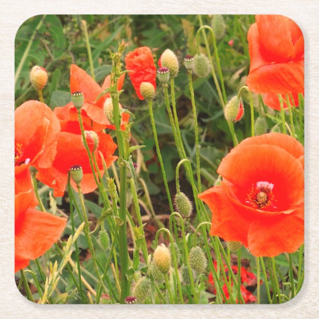 Blume mit rotem Mohn, benutzerdefinierte Untersetz Rechteckiger Pappuntersetzer (Vorderseite)