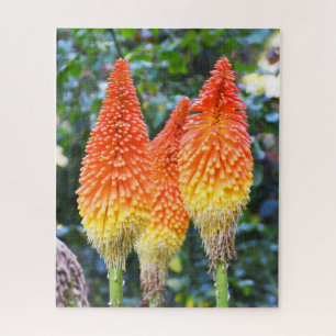 Blume mit rotem Poker
