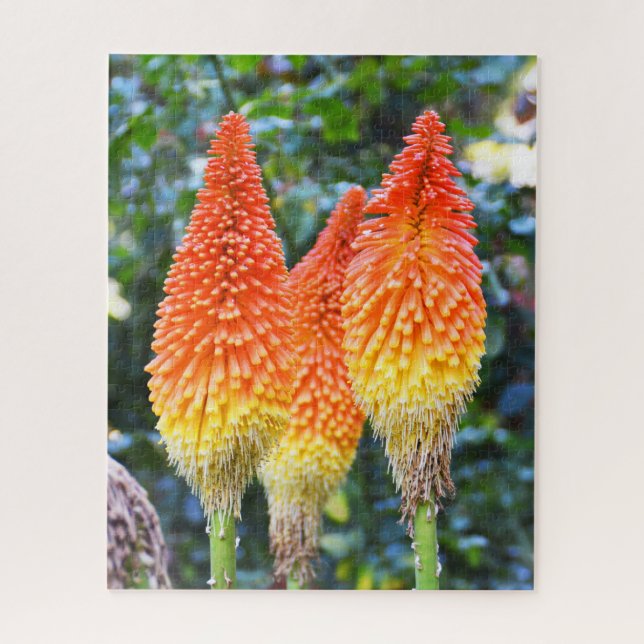 Blume mit rotem Poker (Vertikal)