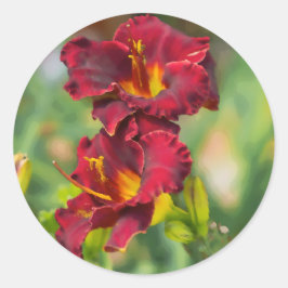 Blume mit roter und gelber Taglilie - Digitale Mal Runder Aufkleber