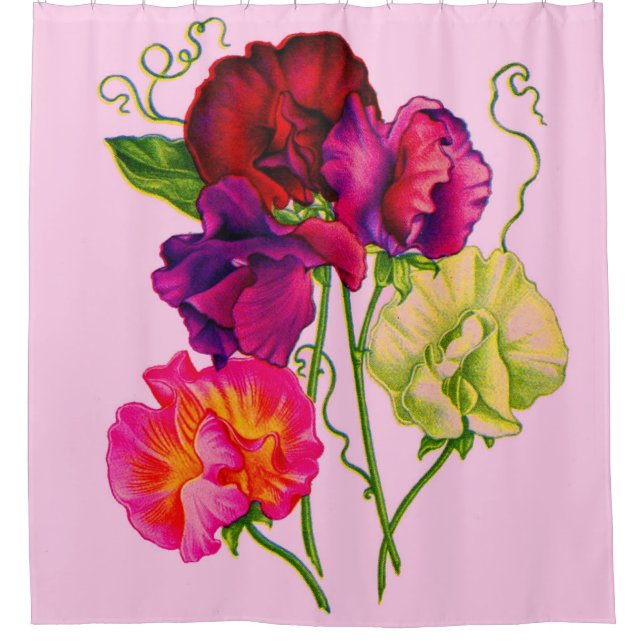 Blume mit Süßerbsen in lila und rosa Farbe Duschvorhang (Vorderseite)