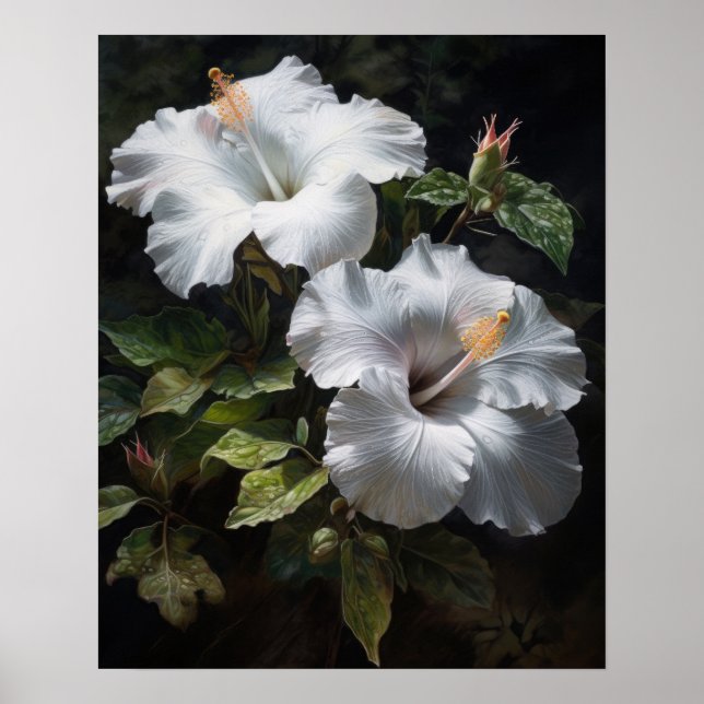 Blume mit weißem Hibiskus Art Print Poster (Vorne)