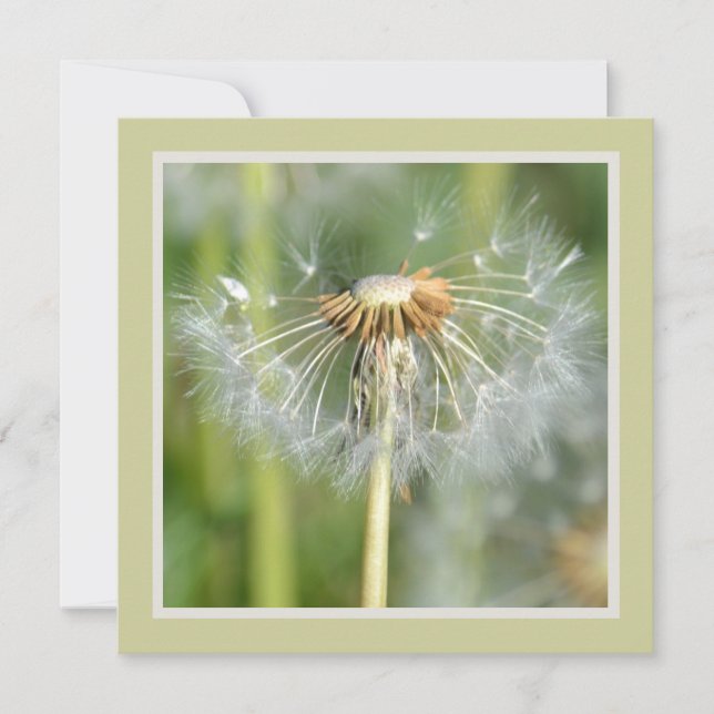 Blume mit weißem Kronleuchter Kinderdusche Einladung (Vorderseite)